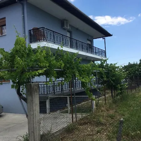 Mario's House * Verjína