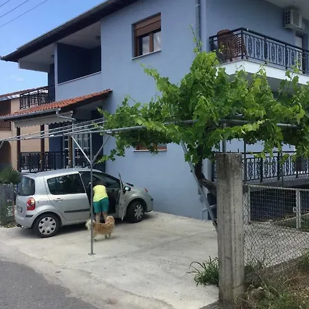Mario's House