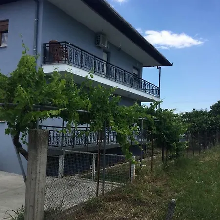 Mario's House