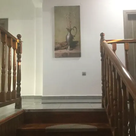 Mario's House *